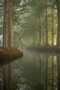 Miroir