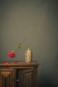 Nouveau départ VI