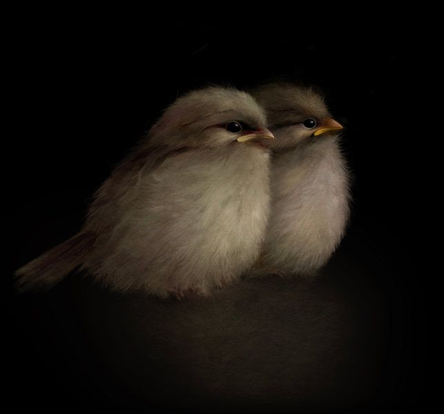 Two of a kind by annemiek art
