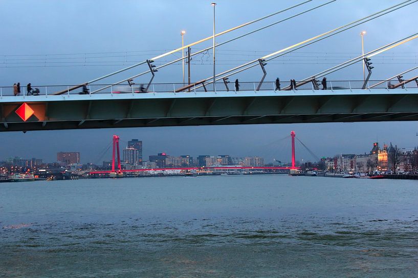&quot;Under the Erasmus Bridge. by Capture the Moment 010
