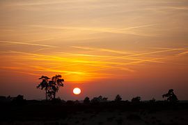Sonnenuntergang auf der Veluwe von Ingrid Fotografie