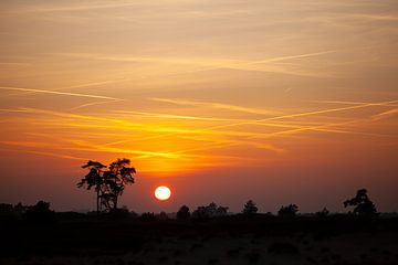 Zonsondergang op de Veluwe van Ingrid Fotografie