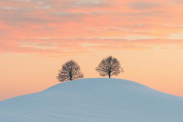Winter contemplatie: Veld en bomen van fernlichtsicht