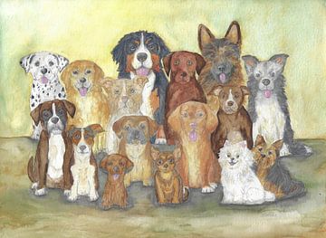 Dog photo by Sandra Steinke