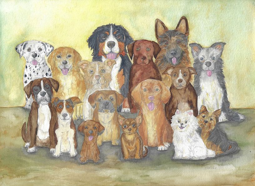 Hunde-Foto von Sandra Steinke