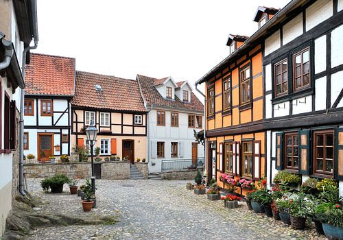 middeleeuwse gebouwen op de Münzenberg in Quedlinburg