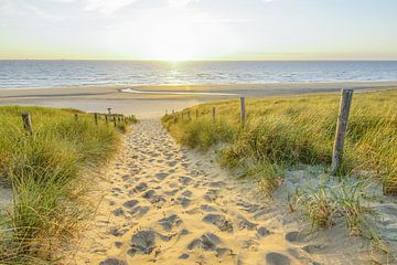 Strandleven! von Dirk van Egmond