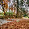 Herbst atmosphäre von Photoart-Naegele