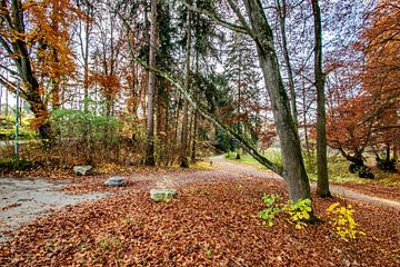 Herfst sfeer van Michael Nägele