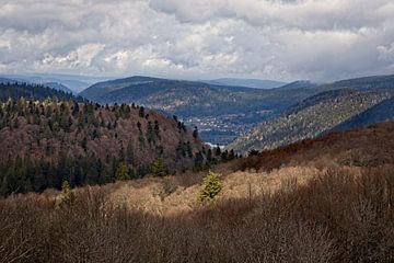 Le Tanet / Vosges / Alsace sur Rob Boon