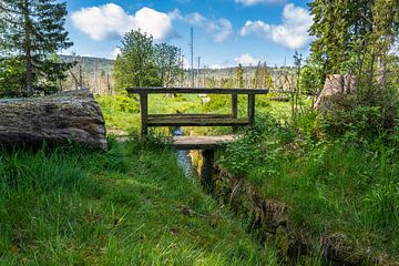 Uitzicht op de Oderteich vijver in het Harz gebergte in Duitsland van Andreas Völkel