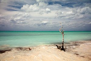 Cayo Levisa,  Kuba von Peter Schickert