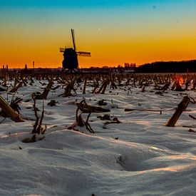Zonsopgang boven Vlaamse velden van Hanne Boullart