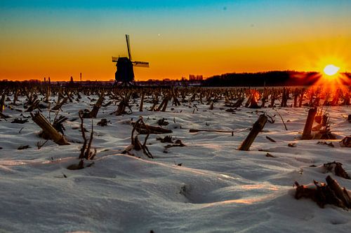 Sonnenaufgang über flämischen Feldern