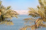 Uitzicht op Israël vanaf Dode zee van Astrid van der Eerden thumbnail