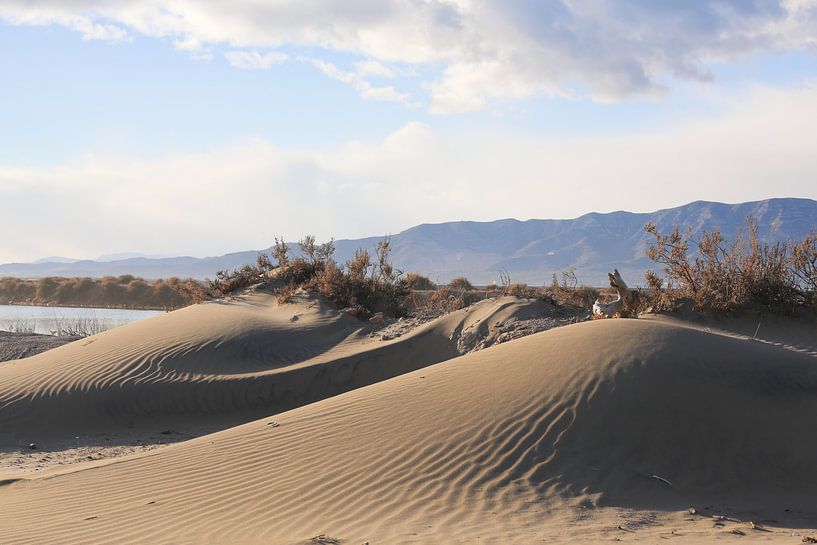 dunes par marijke servaes