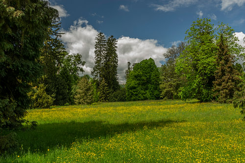 Serene Spring Castle Park Meadow for Relaxed Living Room Decor
