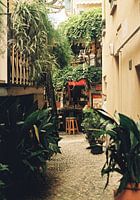 Botanical cafe on Lake Como