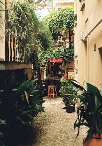 Botanisches Cafe am Comer See