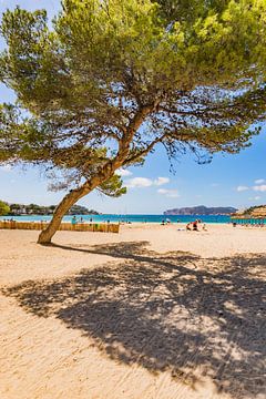 Zicht op strand in de baai van Santa Ponca, Middellandse Zee van Mallorca van Alex Winter