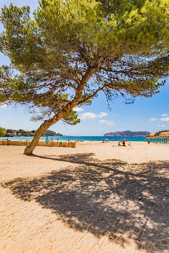 Blick auf den Strand in der Bucht von Santa Ponca, Mallorca Mittelmeer