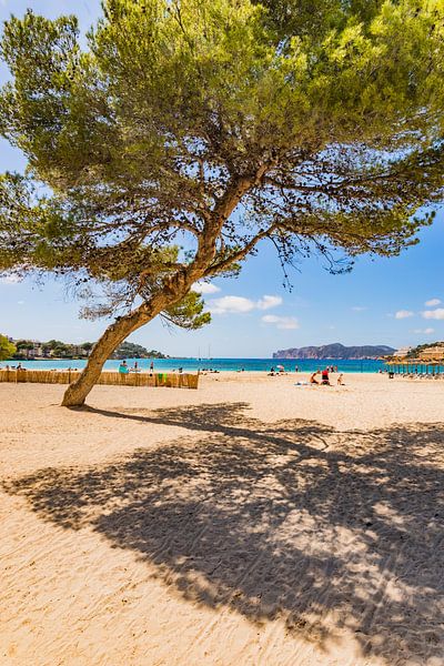 Vue de la plage dans la baie de Santa Ponca, Majorque Mer Méditerranée par Alex Winter