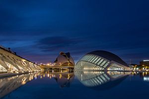 City of Arts and Sciences (Valencia)  van Bert Meijer