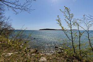Am Ufer in der Goor, Insel Vilm, Lauterbach auf Rügen