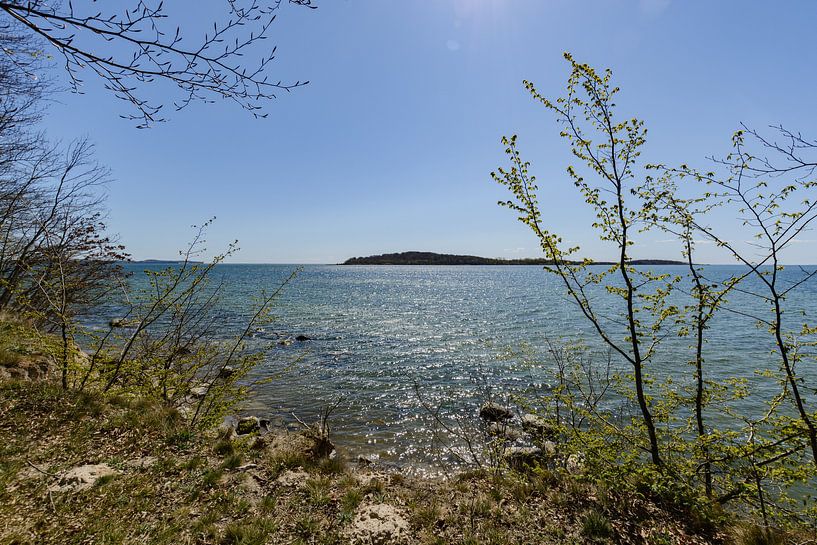 Am Ufer in der Goor, Insel Vilm, Lauterbach auf Rügen von GH Foto & Artdesign
