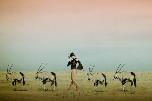 Afrika IV