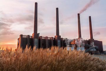 The power station through the reeds by Marc-Sven Kirsch