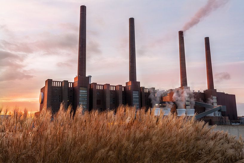La centrale électrique à travers les roseaux par Marc-Sven Kirsch