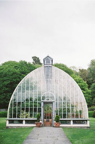 Botanisches Gewächshaus in Irland
