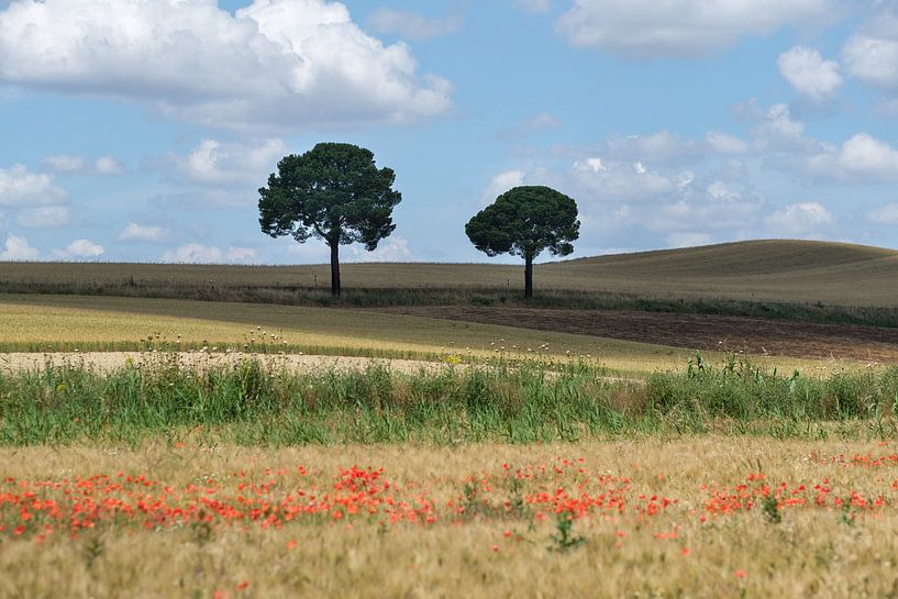 Apulien von Mario Creanza