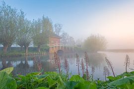 Ein stiller Sommermorgen von Bas Meelker
