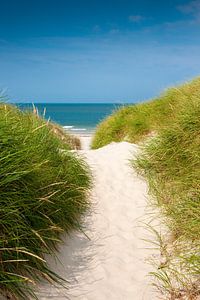 Chemin de la plage de la mer du Nord sur Reiner Würz / RWFotoArt