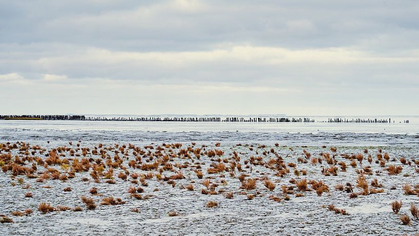 Wattenmeer - 8 von Rob van der Pijll