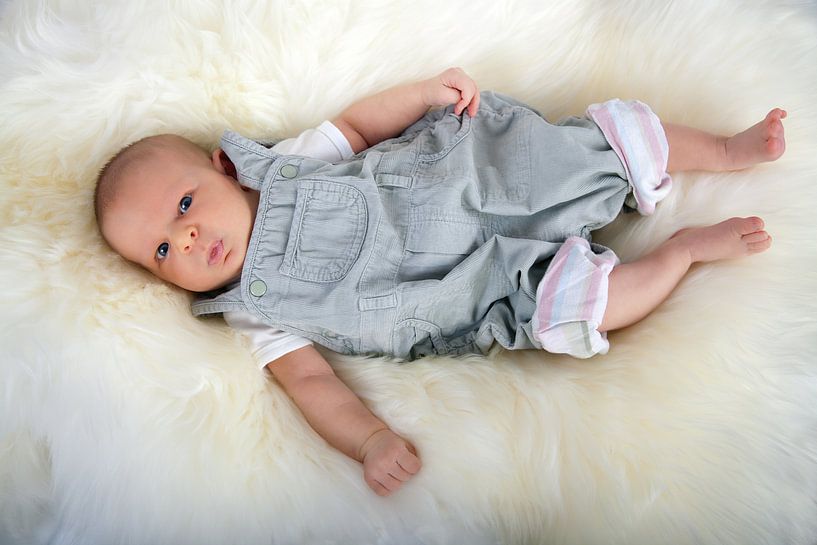 Baby by Bo Valentino