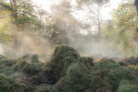 Ksalmhoutse Heide von fotografiebiezen