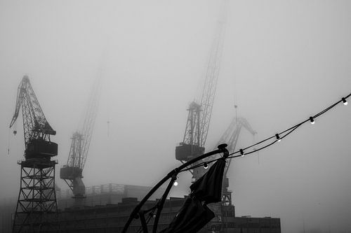 Lumières dans la Brume à Ruoholahti
