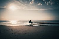Step to the Evening Light