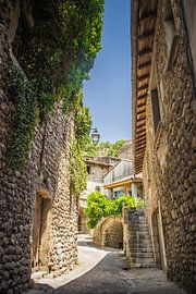 Alley in France by Suzan van Pelt