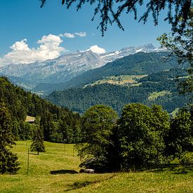 Idyllische Schweizer Alpenlandschaft im Sommer von Steven Van Aerschot