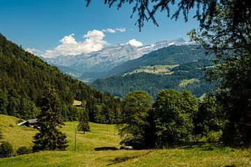 Idyllisch Zwitsers alpenlandschap in de zomer van Steven Van Aerschot