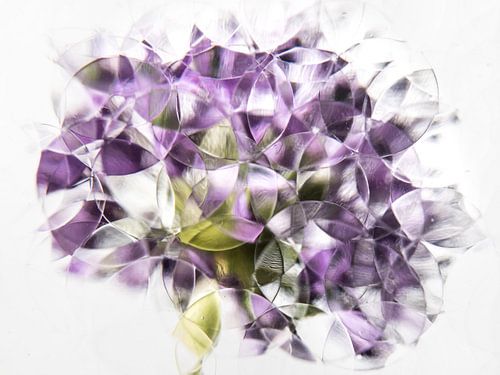 abstracte paarse uienbol ( pastel )