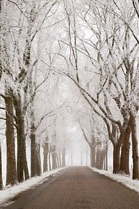 Country road through a frozen wintry landscape