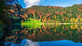Herfstmeer met bos
