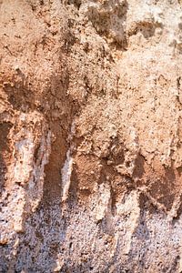 Sanfte Erdtöne in der Natur // Ibiza // Natur- und Reisefotografie
