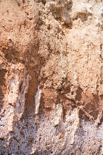 Sanfte Erdtöne in der Natur // Ibiza // Natur- und Reisefotografie