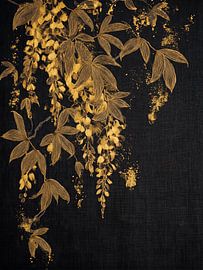 Cytise (Laburnum) sur un fond de lin foncé